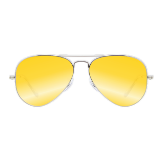 Suspendisse gravida lacus varius