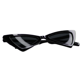 Fusce ullamcorper dapibus