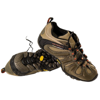 Cras viverra rhoncus