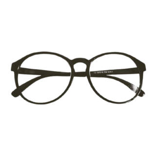 Phasellus varius turpis