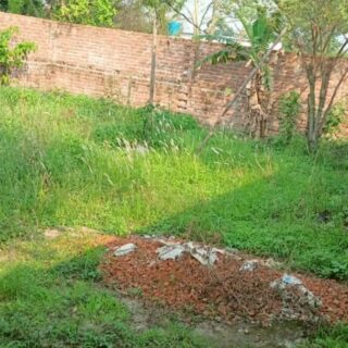 5 Dicim Land near Mohammadpur